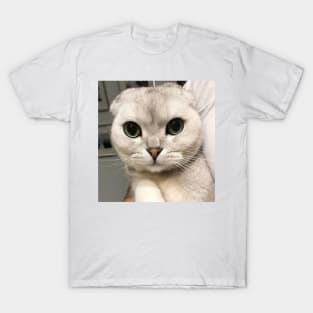 Cat T-Shirt